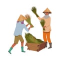 Asian Farmer in Straw Conical Hat Gathering Bundles of Rice Grass in Wooden Crate Vector Illustration