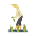 Asian Farmer in Straw Conical Hat Harvesting Rice in Paddy Field, Male Peasants Character Working on Field Cartoon Style