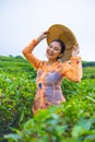 an Asian farmer throws tea leaves from his bamboo basket onto the ground