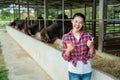 Asian farmer thumbs up on a cow dairy farm inside a cowshed, farming, people and animal, Agriculture industry