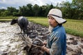 Asian farmer are training his buffalo