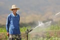 Asian farmer watering Royalty Free Stock Photo