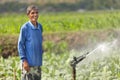 Asian farmer watering plant Royalty Free Stock Photo