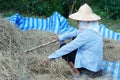 Asian farmer is working in garden Royalty Free Stock Photo