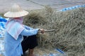 Asian farmer is working Royalty Free Stock Photo
