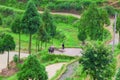 Asian farmer working on terraced rice field Royalty Free Stock Photo