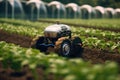 Asian farmers are using smart robots in agriculture