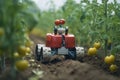 Asian farmers are using smart robots in agriculture