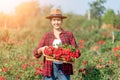 Asian Farmers woman holding the rose bush in Rose Garden