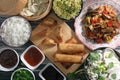 Asian fast food background spring rolls and dumpling Royalty Free Stock Photo