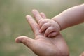 Father touching and holding Little tiny Baby hand Royalty Free Stock Photo