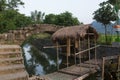 Farmer Pulling Buffalo at Guilin Royalty Free Stock Photo