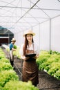 Asian female farmer wearing is caring for organic vegetables inside the nursery.Young entrepreneurs with an interest in