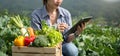 Asian female farmer wearing is caring for organic vegetables inside the nursery.Young entrepreneurs with an interest in