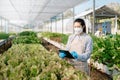 Asian female farmer wearing is caring for organic vegetables inside the nursery.Young entrepreneurs with an interest in