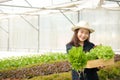 Asian female farmers are farming organic vegetables.
