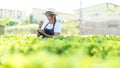 Asian female gardener in agriculture industry. Women farmer use laptop for working