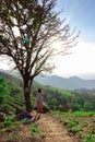 Asian female tourist enjoying from top of the mountain with valley view of Doi Pha Tang Chiang Rai Royalty Free Stock Photo