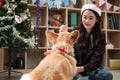 Asian female worker is teasing a dog at an office Christmas party