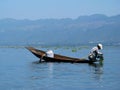 Asian Fisherman