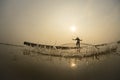 Asian, Fisherman catching fish Royalty Free Stock Photo