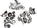 Asian Floral Ornamental Designs Vector Set Royalty Free Stock Photo