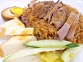 Asian Food Braised duck rice Royalty Free Stock Photo