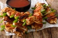 Asian food: chicken kebab with green onion and chili sauce close