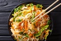 Asian food: chicken salad with rice noodles, carrots and greens Royalty Free Stock Photo