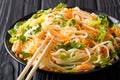 Asian food: chicken salad with rice noodles, carrots and greens Royalty Free Stock Photo