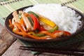 Asian food: chicken with vegetables and rice noodles horizontal Royalty Free Stock Photo