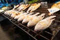 Asian food. Counter with fish in salt on the grill at a night food street market Royalty Free Stock Photo