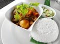 Asian food, curry dish with rice Royalty Free Stock Photo