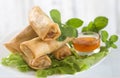 Asian food,frie spring roll and salad