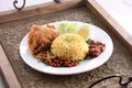 Asian fried chicken rice