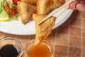 Asian fried dumplings Royalty Free Stock Photo