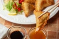 Asian fried dumplings. Gyoza, jiaozi or wonton Royalty Free Stock Photo