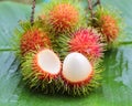 Asian fruit rambutan Royalty Free Stock Photo