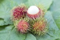 Asian fruit rambutan on leaves ,sweet Royalty Free Stock Photo