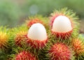 Asian fruit rambutan Royalty Free Stock Photo