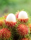 Asian fruit rambutan Royalty Free Stock Photo