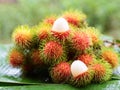 Asian fruit rambutan Royalty Free Stock Photo