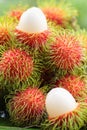 Asian fruit rambutan Royalty Free Stock Photo