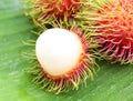 Asian fruit rambutan Royalty Free Stock Photo