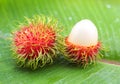 Asian fruit rambutan Royalty Free Stock Photo