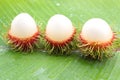 Asian fruit rambutan Royalty Free Stock Photo