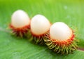 Asian fruit rambutan Royalty Free Stock Photo