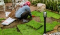 Asian Gardener Female planting grass in the summer garden at morning in the yard