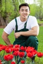 Asian gardener with tulips