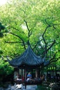 Asian Gazebo at Yuyuan Garden Shanghai